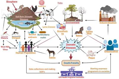 One Health Paradigm to Confront Zoonotic Health Threats: A Pakistan Prospective